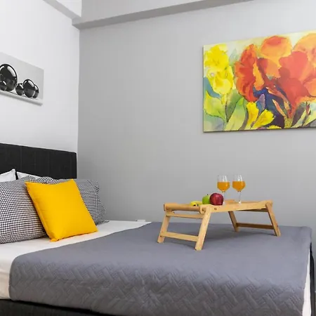 C3 Modern Spartan Apartment *